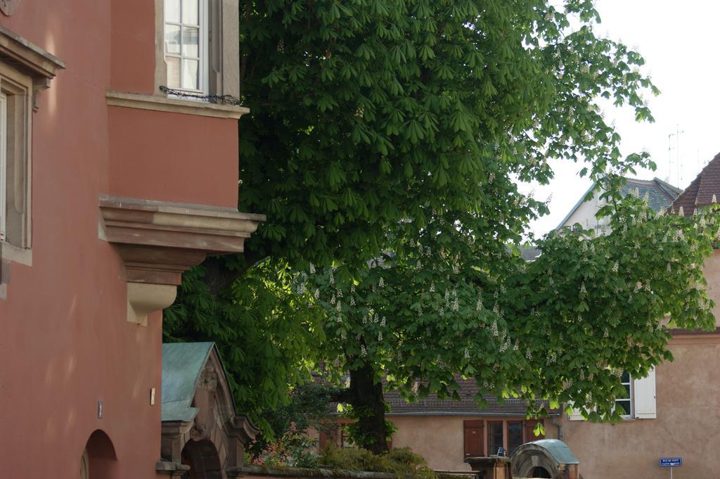 Quai 17 Maison D'Hotes Štrasburk Exteriér fotografie