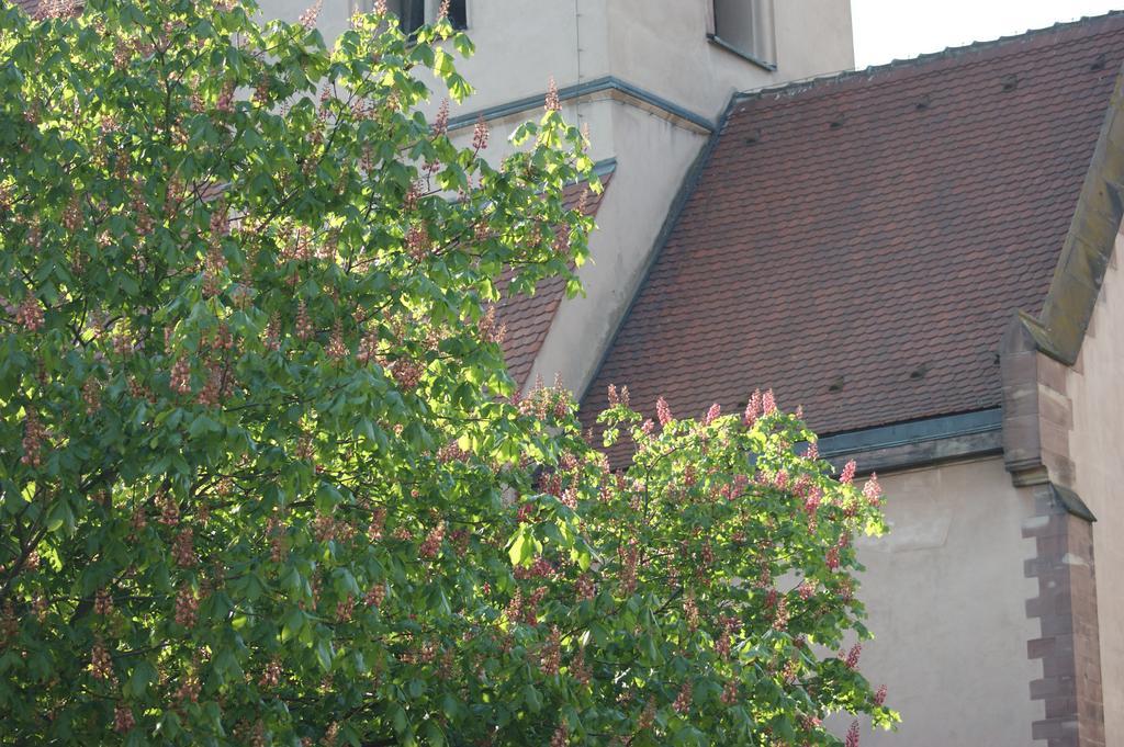 Quai 17 Maison D'Hotes Štrasburk Exteriér fotografie